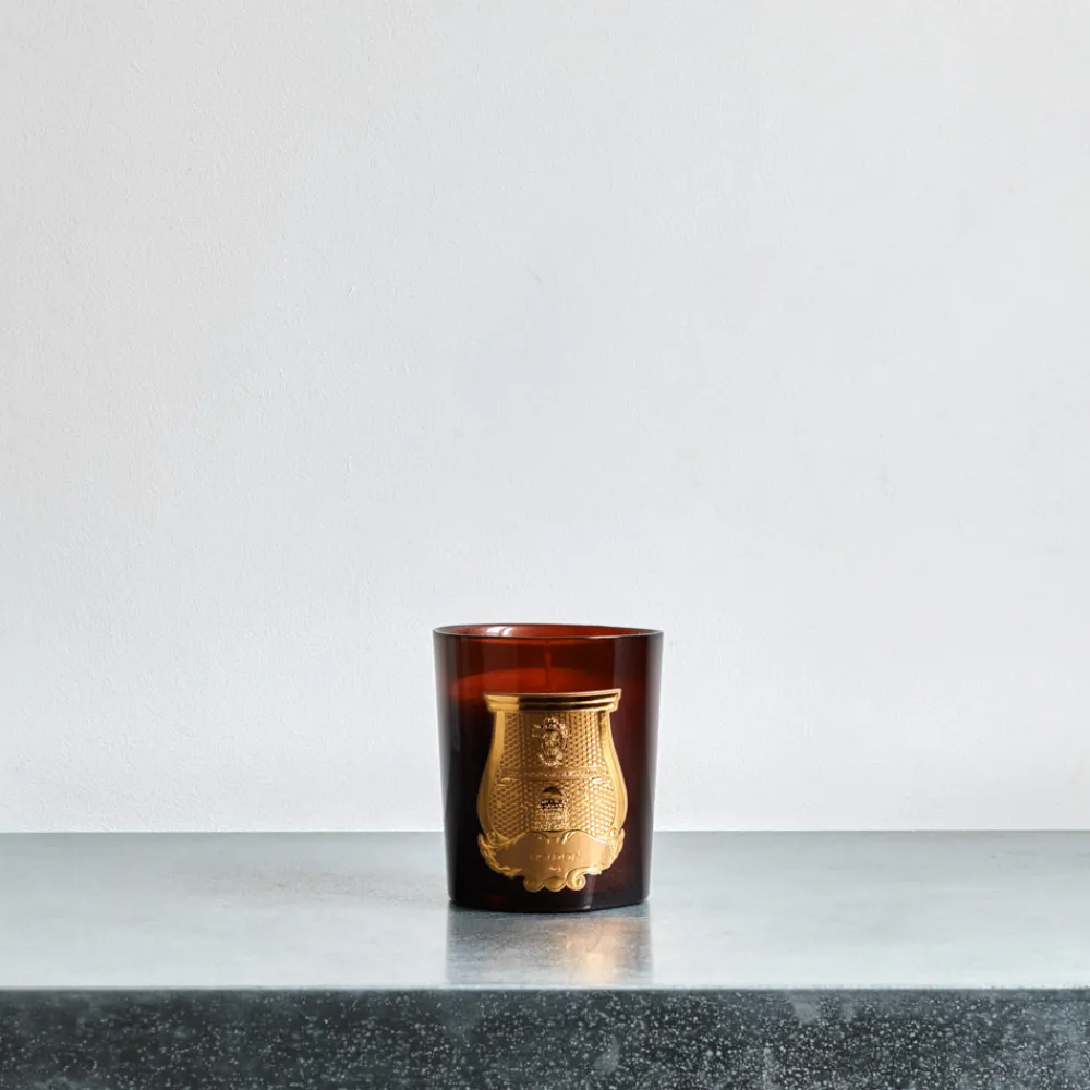 Cheap 241 SAS CIR Bougie parfumée Trudon 270 g - Cire