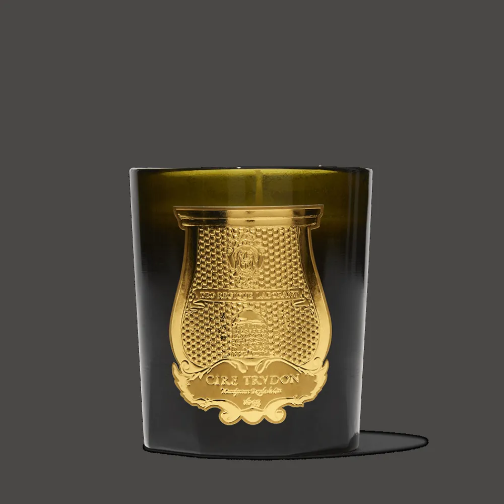 Best Sale 241 SAS CIR Bougie parfumée Trudon 270 g - Gabriel