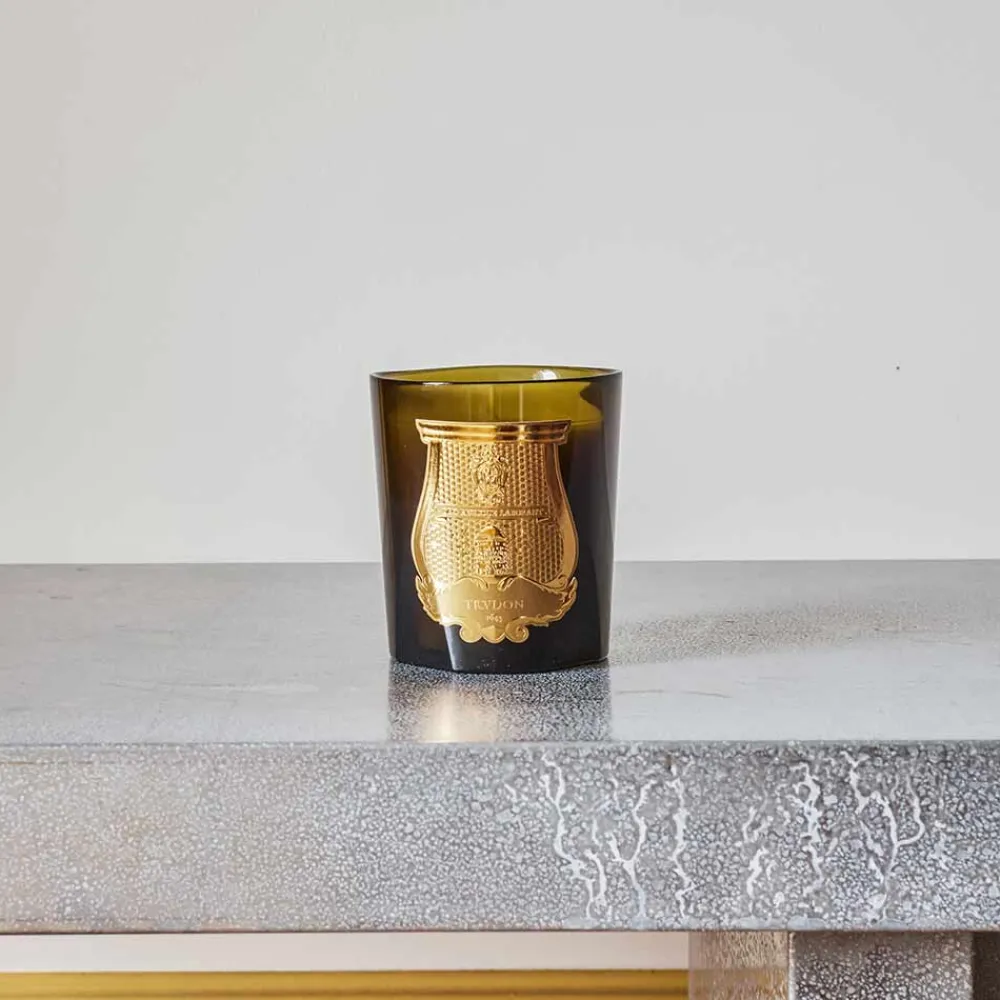Store 241 SAS CIR Bougie parfumée Trudon 270 g - Madeleine