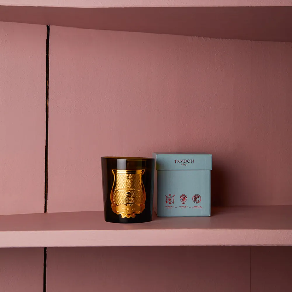 Shop 241 SAS CIR Bougie parfumée Trudon 270g - Odalisque