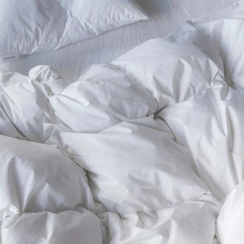 Hot 2045 COUETTEX Couette en duvet naturel et plumettes - Blanc